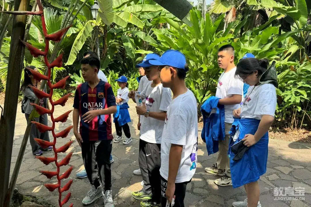 敏捷性训练对篮球比赛表现的影响及解决方案_0