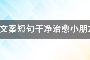 少儿篮球训练文案短句干净